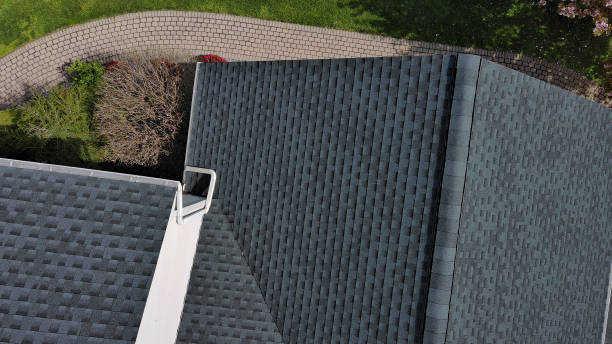 Best Solar Panel Roofing Installation  in St Peters, MO