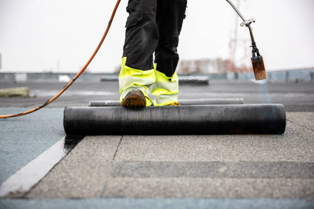 Best Sheet Metal Roofing  in St Peters, MO